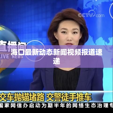 海口最新动态新闻视频报道速递