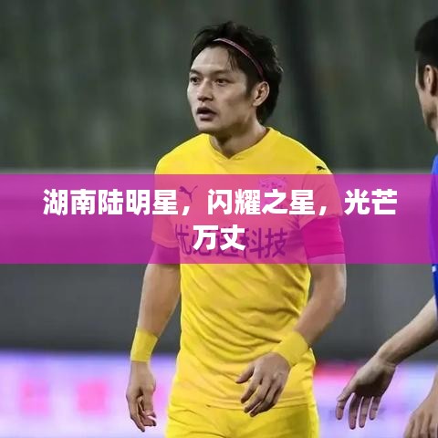 湖南陆明星,闪耀之星,光芒万丈