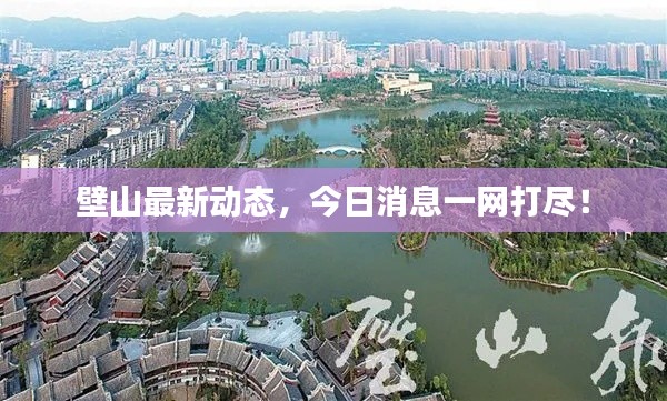 壁山最新动态,今日消息一网打尽!