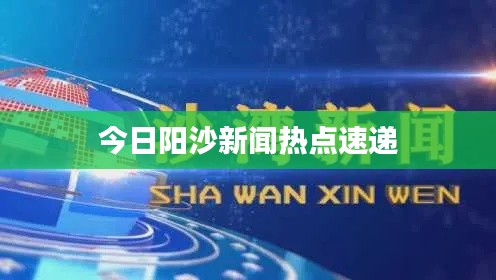 今日阳沙新闻热点速递