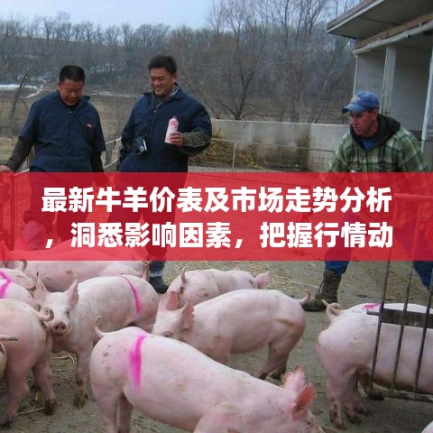 最新牛羊价表及市场走势分析，洞悉影响因素，把握行情动态
