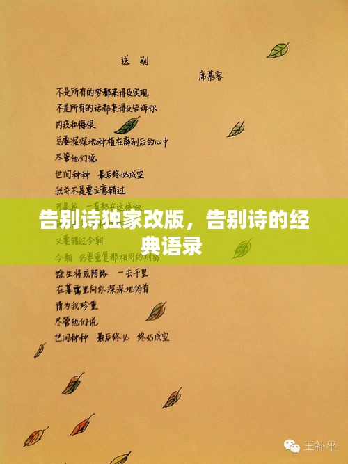 告别诗独家改版,告别诗的经典语录