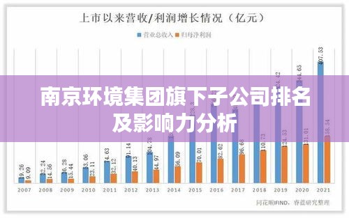 南京环境集团旗下子公司排名及影响力分析