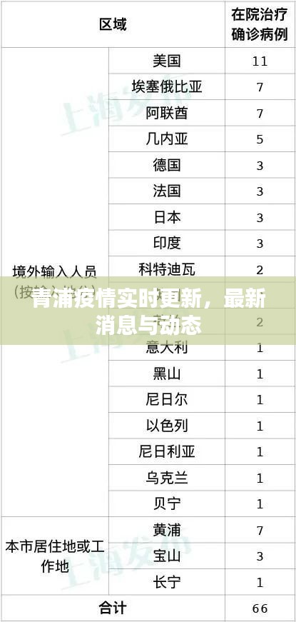 青浦疫情实时更新,最新消息与动态