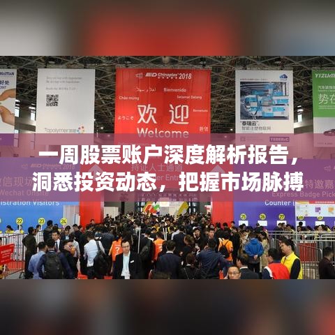 一周股票账户深度解析报告，洞悉投资动态，把握市场脉搏