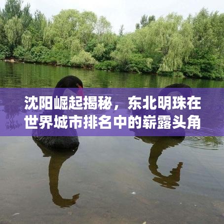 沈阳崛起揭秘,东北明珠在世界城市排名中的崭露头角