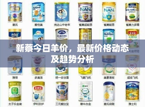 新蔡今日羊价,最新价格动态及趋势分析