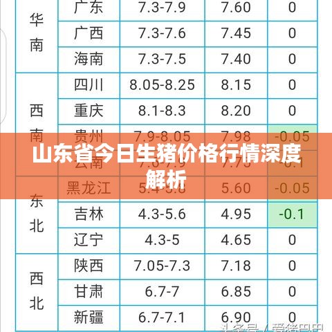 山东省今日生猪价格行情深度解析