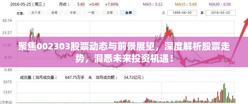 聚焦002303股票动态与前景展望,深度解析股票走势,洞悉未来投资机遇!